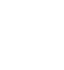 Torch